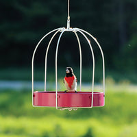 Framed Platform Feeder - Fuchsia (10079)
