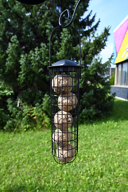 Black cylinder cage holding 5 suet balls.