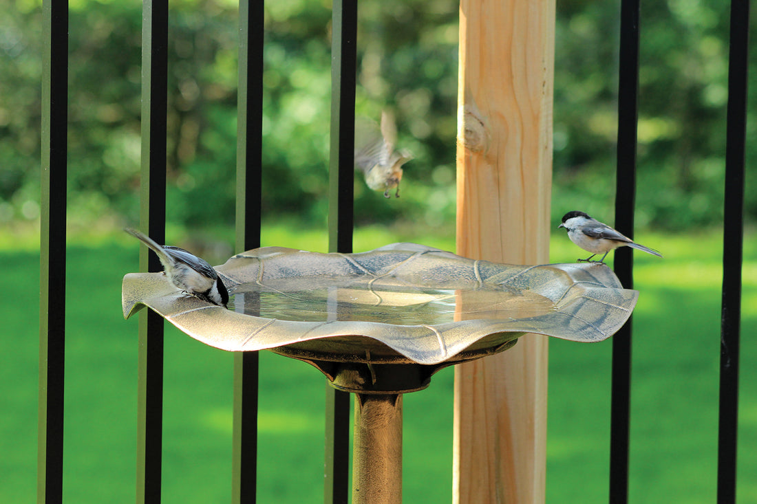 Antique Gold Birdbath (10426)