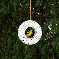 Avistry Ring Bird Feeder (11204)