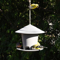Eco "Forage" Bird Feeder (11301)