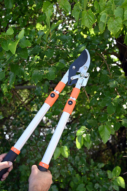 Holding a lopper up towards branches. Silver colour with orange and black accents.