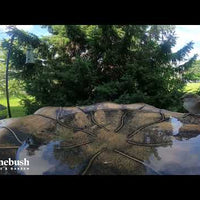 Antique Gold Birdbath (10426)