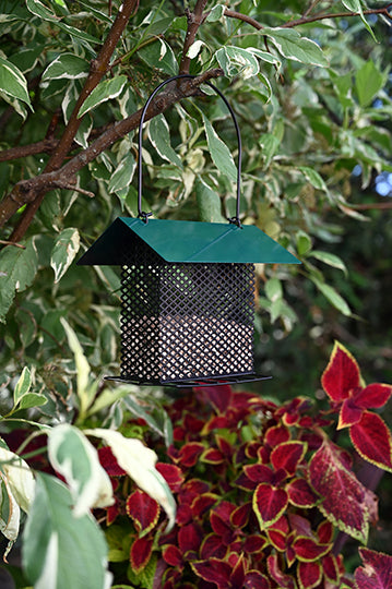 Sheltered Shelled Sunflower Feeder (07491)