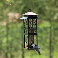 Feeder is hanging on a tree outside; it is almost halfway filled with seeds, 2 birds are enjoying the seeds.