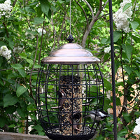 Feeder is hanging outdoors on a pole system while a bird is sitting on the feeder.