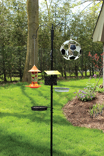 Feeding station is outdoors and has 3 feeders hanging from it.