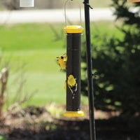 Feeder is hanging on a black pole outside, there are 4 gold finches feeding from the feeder at once.