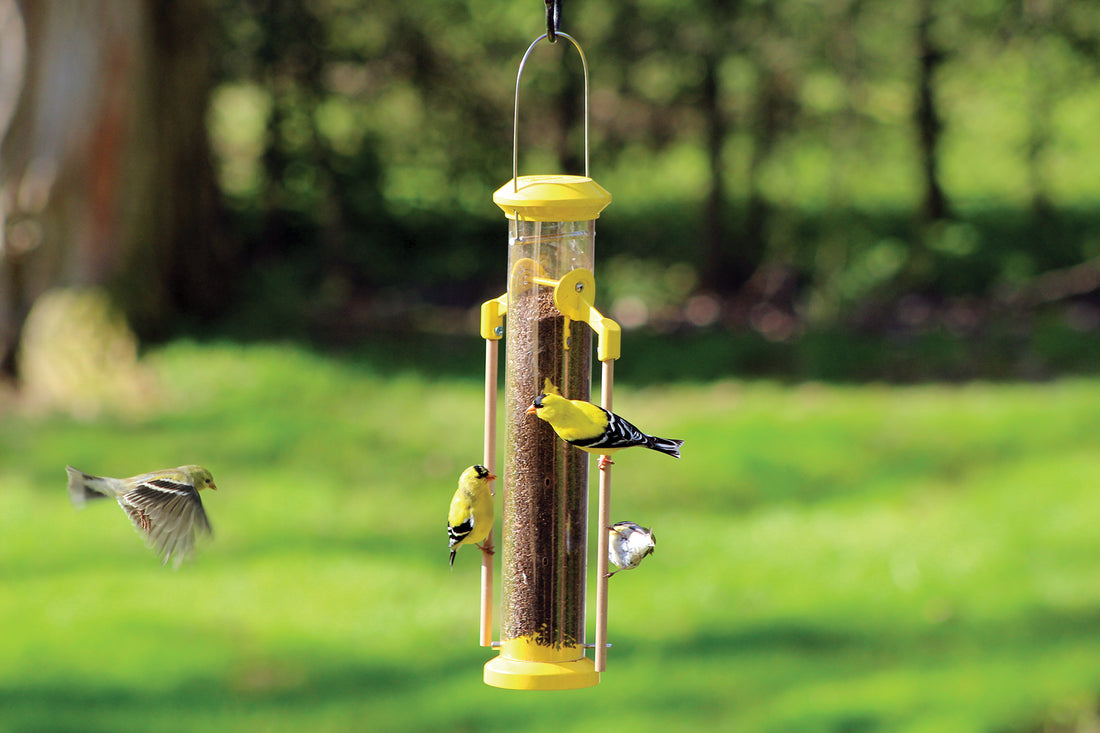 Feeder is hanging outdoors while 3 goldfinches are feeding while holding onto the perch, and one more goldfinch is flying towards the feeder.