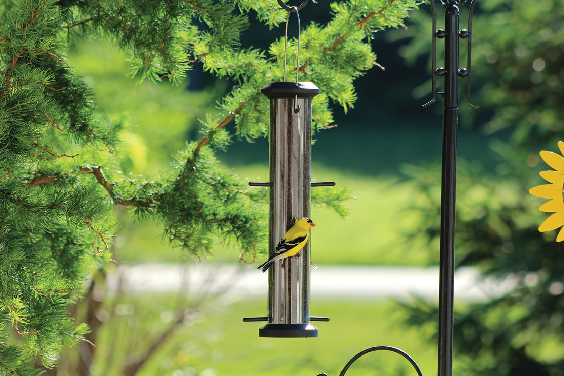 Feeder is hanging from a pole outdoors, the feeder is filled with seed while a gold finch sits on the perch for feeding.