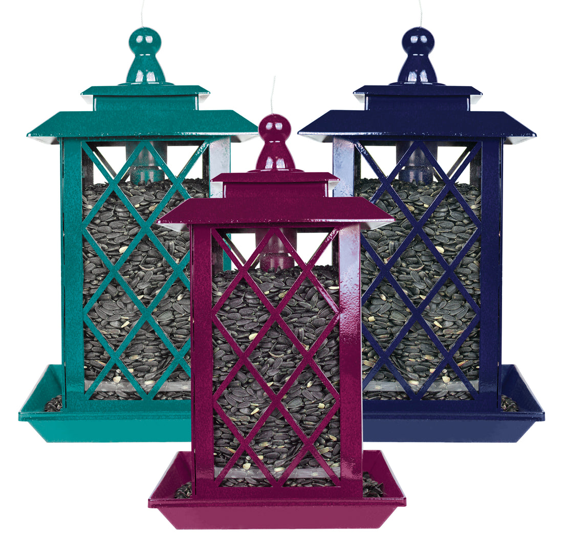 Turquoise lantern style feeder on the left, purple lantern style feeder in the middle, and dark blue latern style feeder on the right.