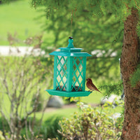 Turquoise lantern feeder is hanging on a tree outside while a bird is eating one of the feeder's seeds.