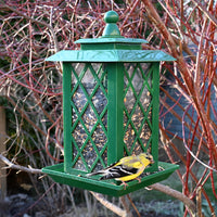 Feeder is outdoors hanging; a goldfinch is on the feeder eating some of its seeds.