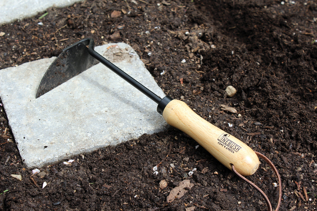 Outdoors in the soil .