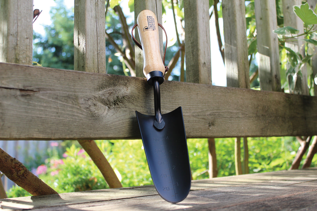 Transplanter is outdoors leaning against a fence.