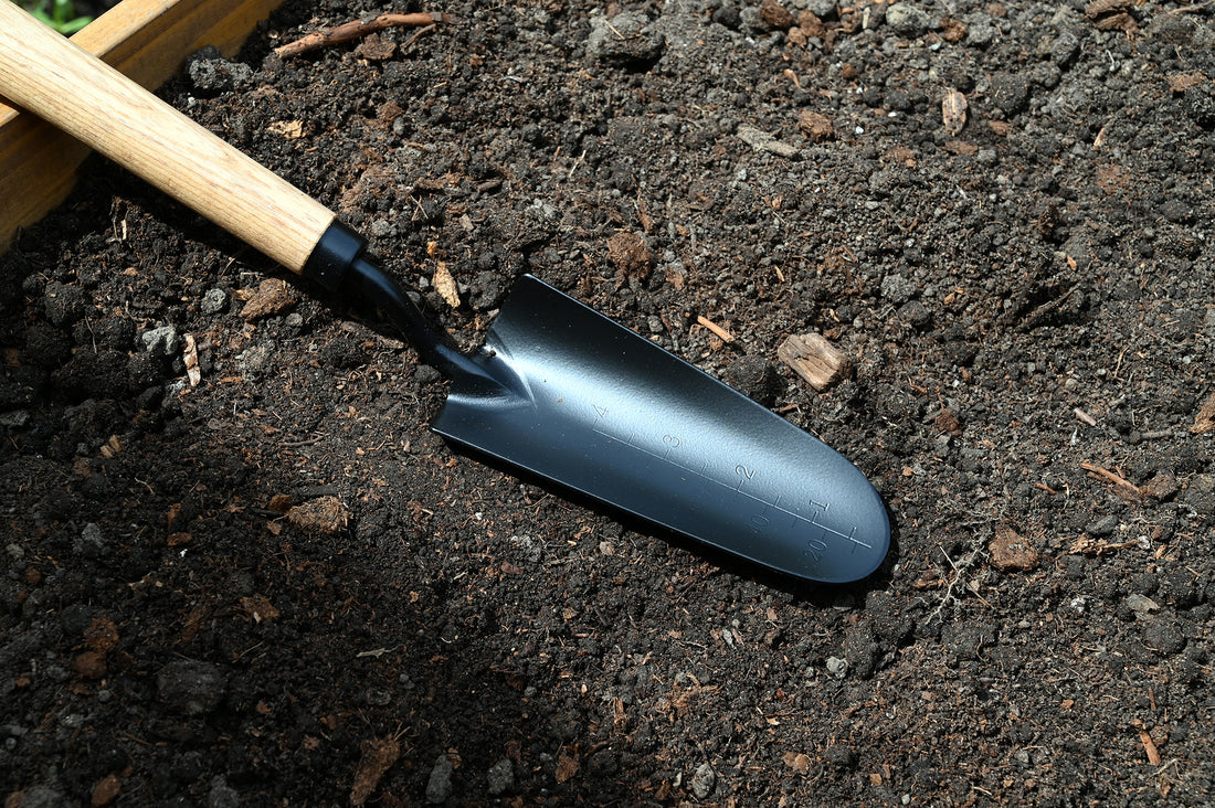 Transplanter is laying in the soil.