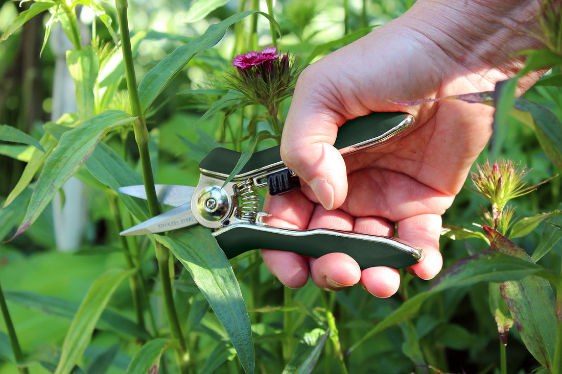 Green handles, precision blades.