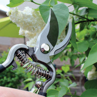 Pruner is in a garden about to cut a leaf.