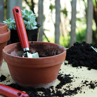 The tools are in soil outdoors. One is in a pot, and the others are on a table with soil on top of it.