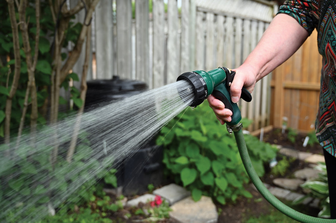 Green nozzle is attached to hose while watering plants outdoors.