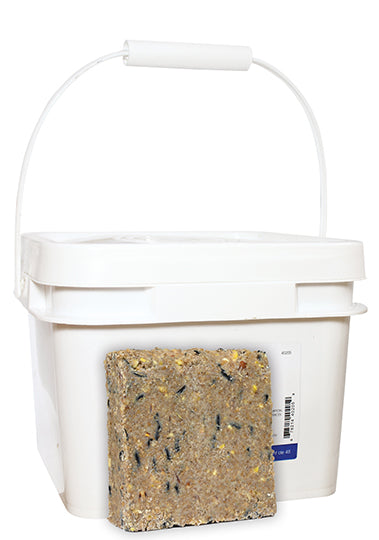 White tub of suet cakes, suet cake is leaning against the tub.