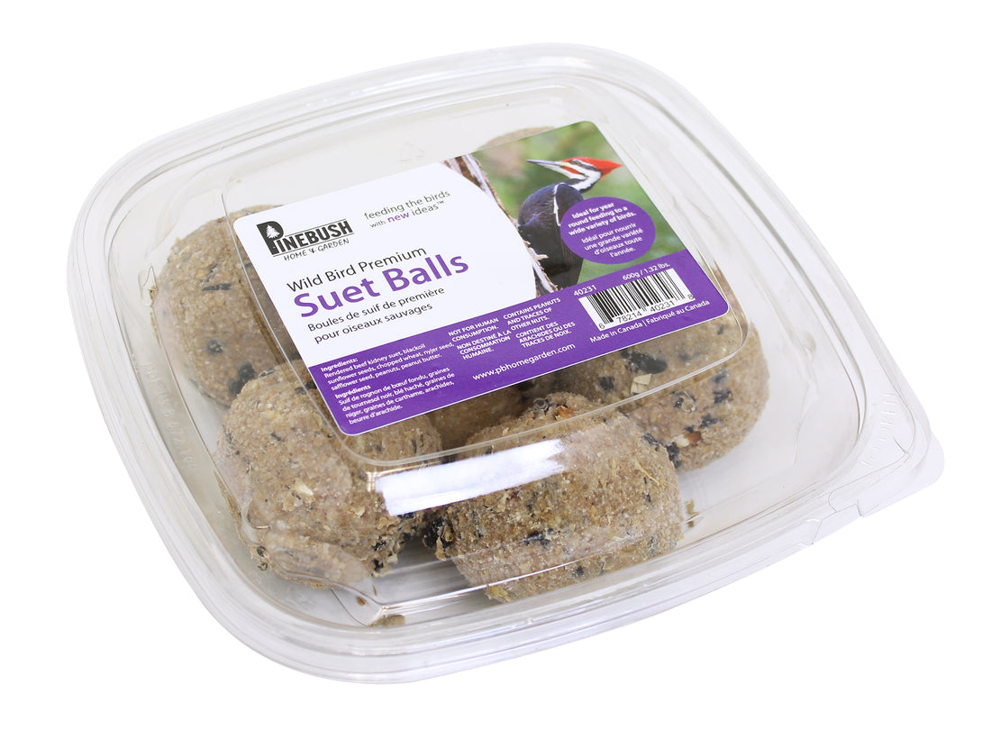 Premium Small Suet Balls 6 Pack (40231)
