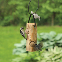 Outdoors the feeder is occupied by 2 woodpeckers and a hummingbird.