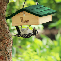 Feeder is hanging on a tree outdoors while a woodpecker is underneath eating from the suet cake.