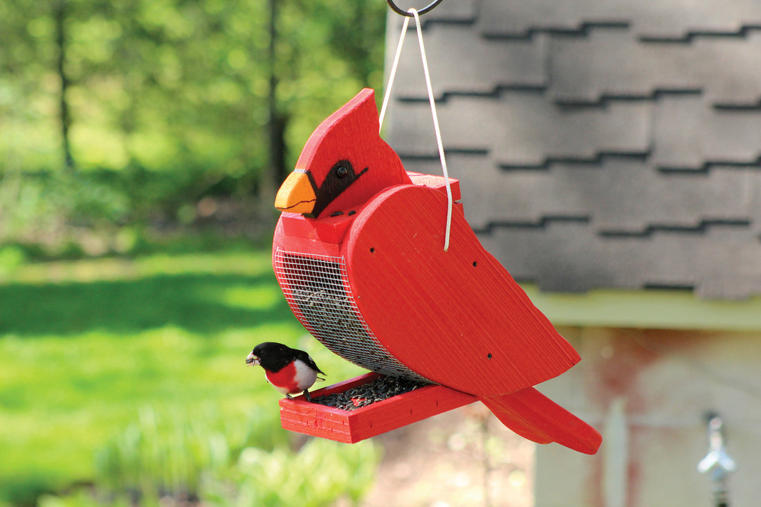 Feeder is hanging outdoors filled with seed while a grosbeak feeds.