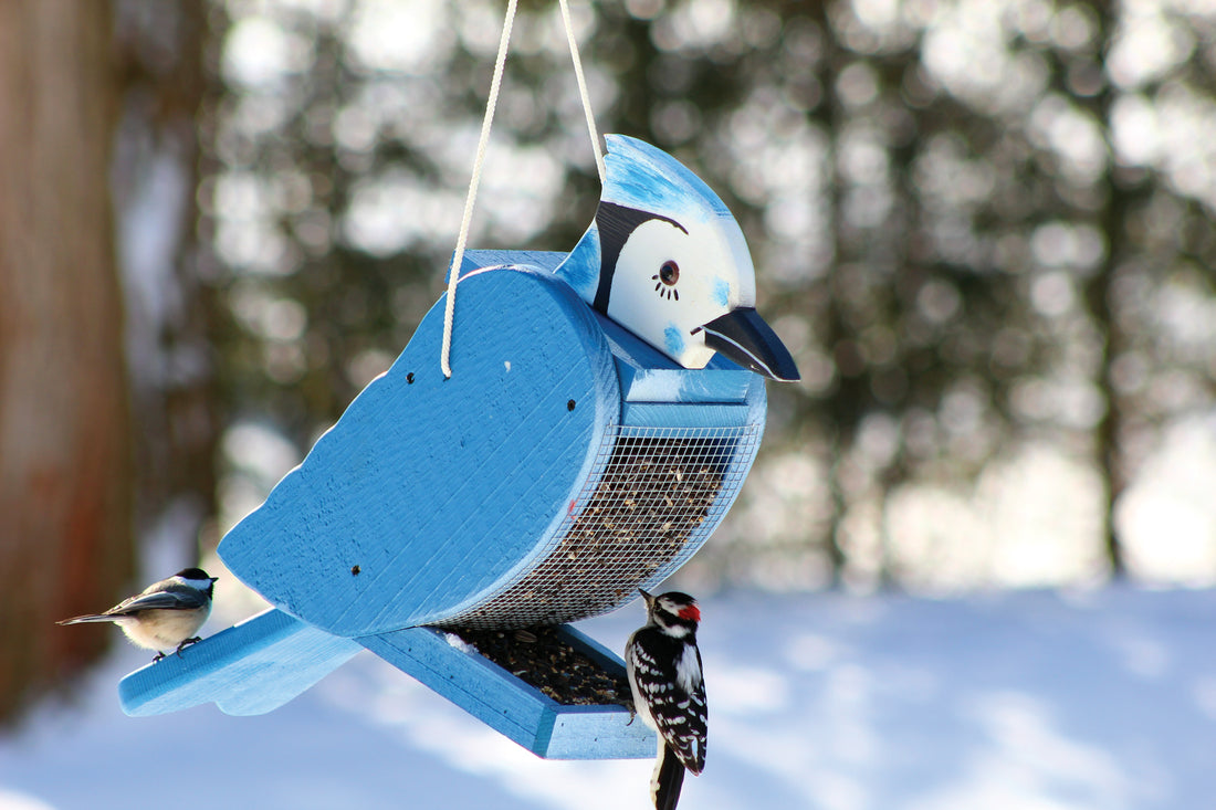 Blue Jay feeder outdoors hanging while a woodpecker eats the seed from it.