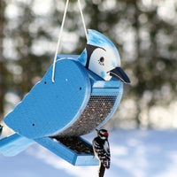 Blue Jay feeder outdoors hanging while a woodpecker eats the seed from it.