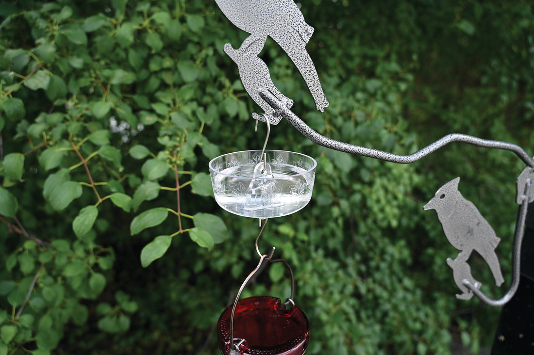Ant moat has a bird feeder attached to the bottom hook.