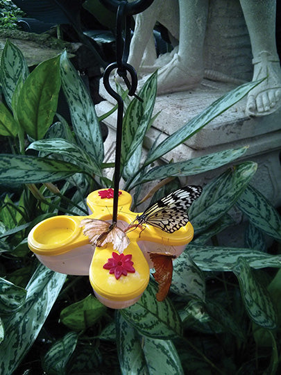 Butterfly feeder is in a garden, there are two butterflies feeding from it.