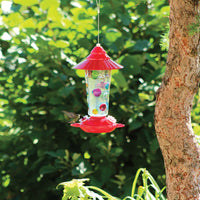Feeder is hanging on a tree outdoors filled with nectar as a hummingbird enjoys the nectar.