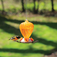 Oriole feeder hanging outdoors while an oriole is feeding from a flower feeding hole.