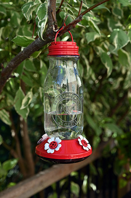 Milk jar shaped glass, red lid and base. Base has white flower shaped feeding holes.