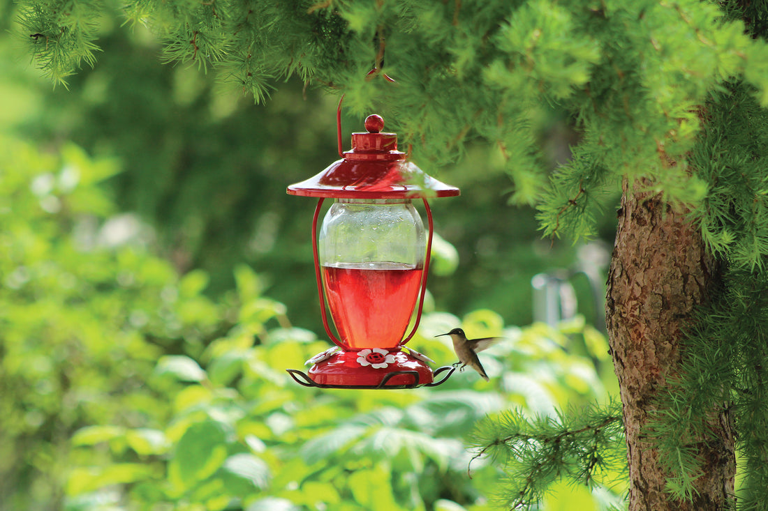 Feeder is hanging outdoors on a tree. It is filled halfway with nectar. A hummingbird is flying to drink from the feeding hole.