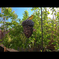 Acorn Shape Mesh Feeder (10072)