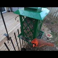 Lantern Style Bin Feeder - Green (10916)