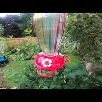 Coloured Stripes Glass Hummingbird Feeder (88034)