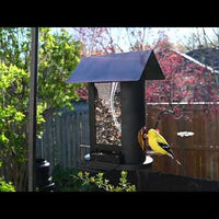 Regal Style Oval Seed Feeder (10032)