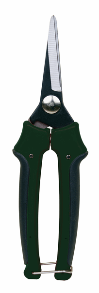 Green handles garden shear.