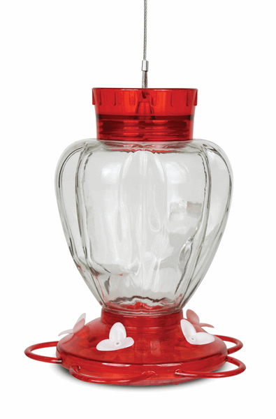 Red circular lid, clear glass center with wide top the narrows down to the bottom, red circular base with white flower feeding holes, rings along the base for hummingbirds to sit on while feeding