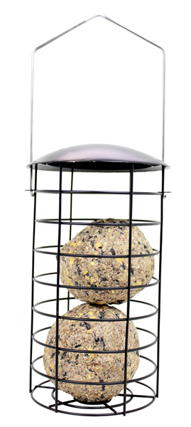 Cylinder cage suet ball feeder. There are 2 suet balls inside.