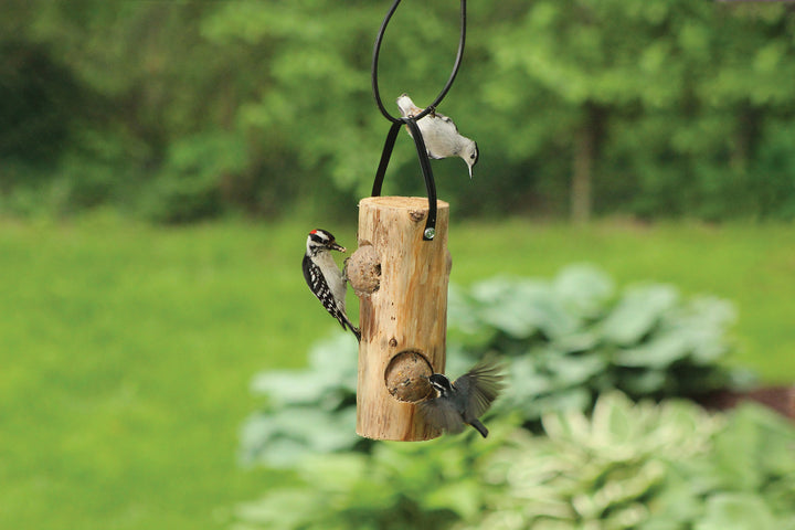 3 birds enjoying suet from a suet log feeder