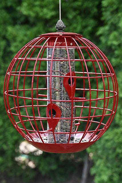 Round Squirrel Resistant Cage Seed Feeder (10377)