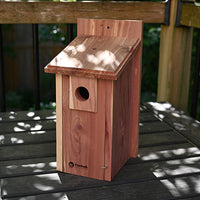 Backyard Nesting Box (11002)