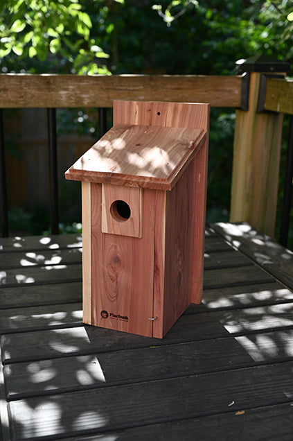 Backyard Nesting Box (11002)