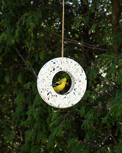 Avistry Ring Bird Feeder (11204)