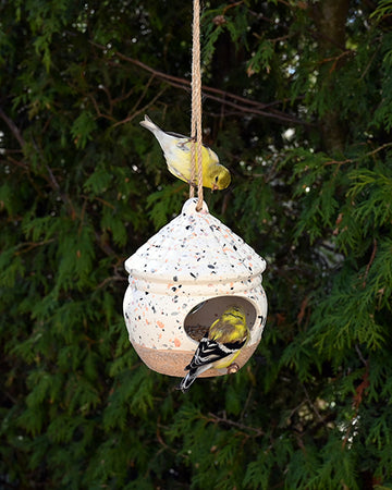 Avistry Hut Bird Feeder (11205)